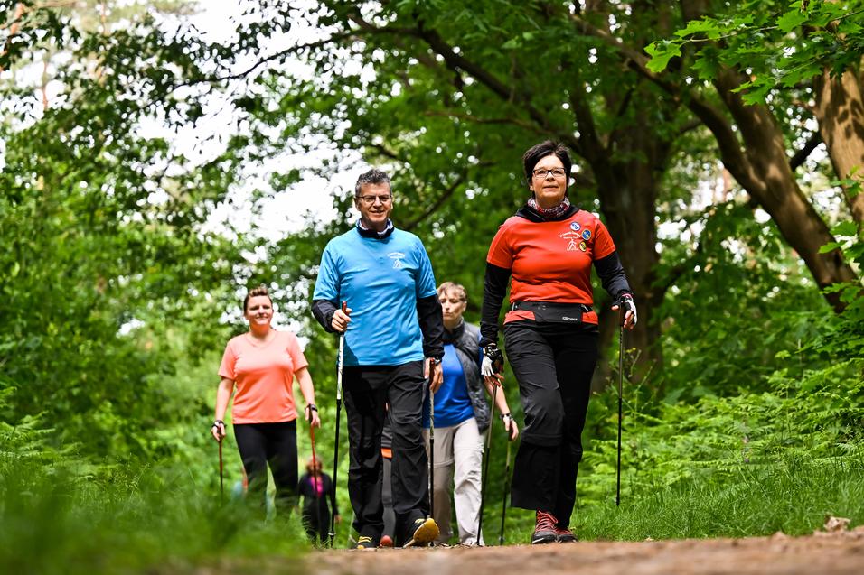 Gruppe von vier Personen wandert mit Nordic-Walking-Stöcken auf einem Waldweg umgeben von Bäumen und grünem Laub.